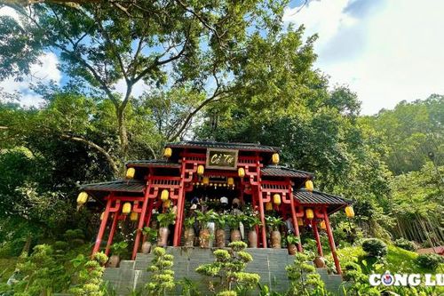 Không gian ngôi chùa cổ có cây thị gần 400 năm tuổi ở Hà Nam