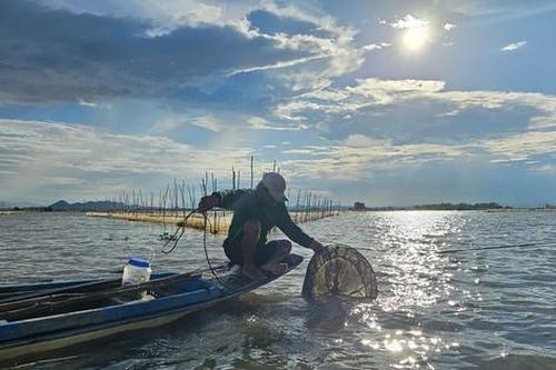Mưu sinh đầu nguồn lũ Đồng bằng sông Cửu Long