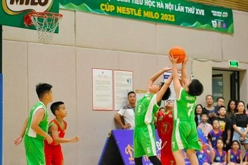 154 đội tranh tài tại Giải bóng rổ học sinh tiểu học Hà Nội
