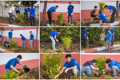 Tuổi trẻ PTSC chung tay hành động vì môi trường xanh