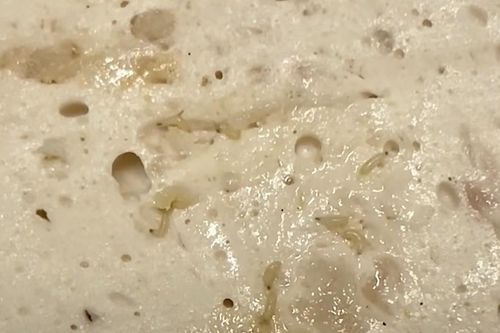 Xác minh vụ thực khách tố quán bán bánh cuốn chả có dòi