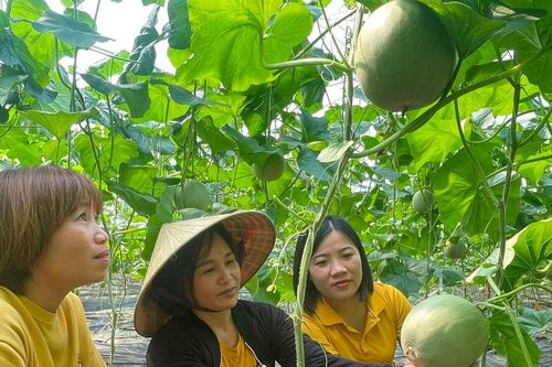 'Trợ lực' giảm nghèo bền vững tại Nghĩa Đàn