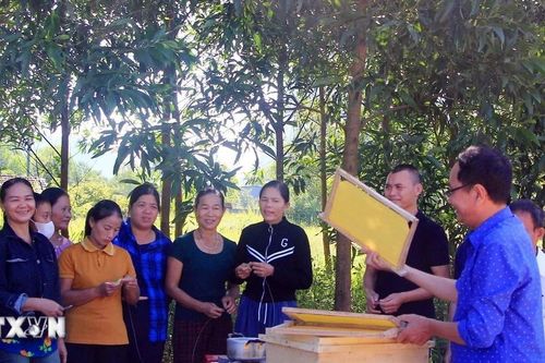 Quảng Bình xây dựng nhiều mô hình sinh kế hiệu quả cho đồng bào dân tộc thiểu số