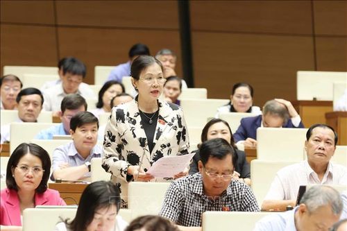 Kỳ họp thứ 8, Quốc hội khóa XV: Quản lý thuốc trên sàn thương mại điện tử