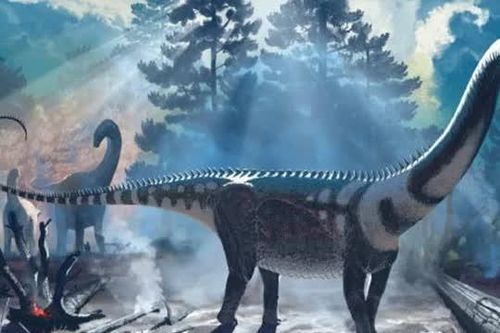 Mỹ: Lộ diện quái thú 'lương long' chưa từng biết