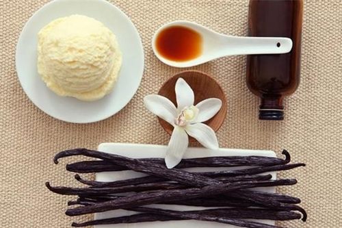 Loại gia vị đắt thứ hai thế giới, mỗi năm hoa chỉ nở đúng duy nhất 1 ngày, ở Việt Nam cũng có