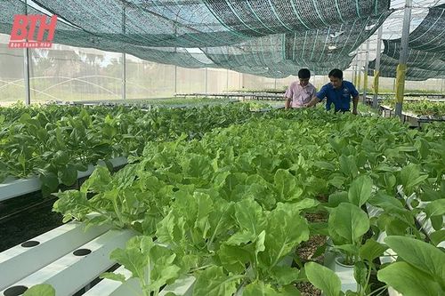 Hướng tới phát triển nông nghiệp xanh