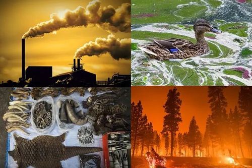 Đi tìm giải pháp ngăn suy giảm đa dạng sinh học