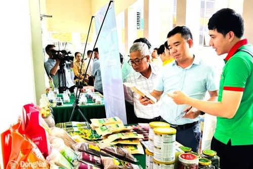 Kết nối tiêu thụ nông sản sạch vào thị trường lớn