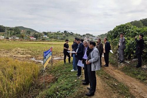 Trường Đại học Cửu Long làm việc với các công ty Hàn Quốc