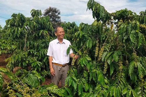 Chi hội trưởng cựu chiến binh hết mình vì phong trào