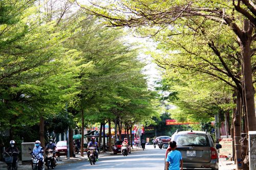 Chúng mình đi cho hết Nha Trang!