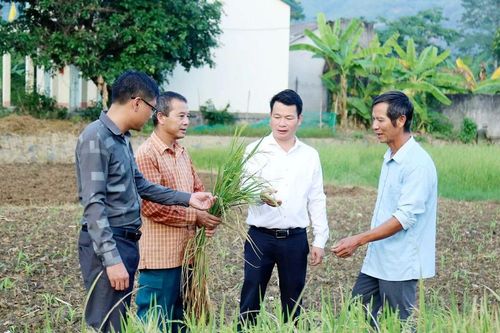 Hiệu quả trong công tác luân chuyển cán bộ ở Bắc Hà