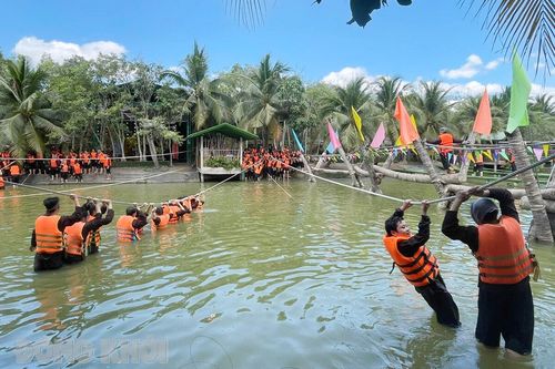 Phát triển du lịch theo hướng chuyên nghiệp, chất lượng