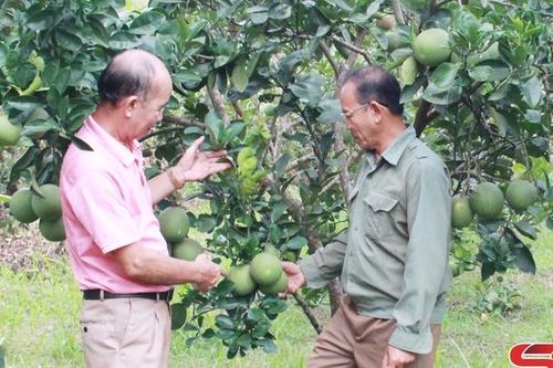 Đảng bộ thị trấn Ít Ong đưa nghị quyết vào cuộc sống