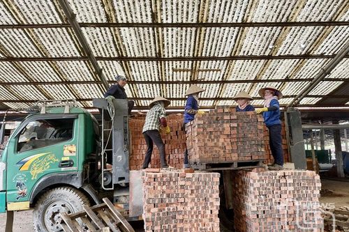 Khẩn trương hỗ trợ người nộp thuế bị thiệt hại do bão lũ