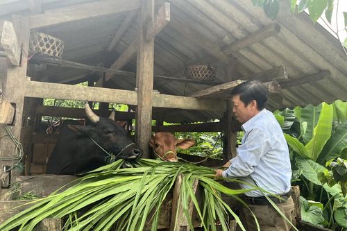 Phát huy hiệu quả công tác và các chính sách dân tộc