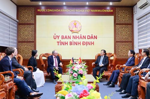 Bình Định tiếp tục xúc tiến triển khai dự án điện gió ngoài khơi 4,6 tỷ USD