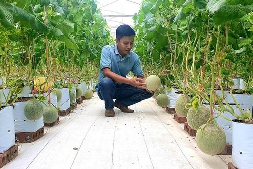 Nghệ An tập trung nâng cao chất lượng nông lâm thủy sản, cơ cấu lại sản xuất