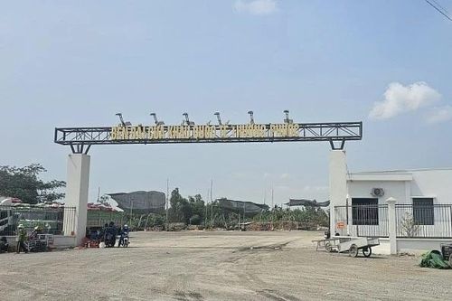 Công ty TNHH MTV Nông sản Phương Nghi cho thuê lại đất có dấu hiệu tội trốn thuế tại Đồng Tháp