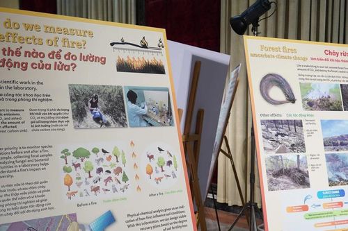 Triển lãm 'Rừng và Biến đổi khí hậu': Thành quả nghiên cứu của Tây Ban Nha - Việt Nam