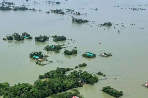Bangladesh: Lũ lụt gây thiệt hại 1,1 triệu tấn gạo