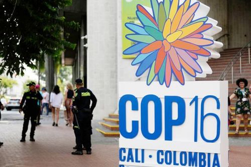 Nhiều kỳ vọng với hội nghị COP16 tại Colombia