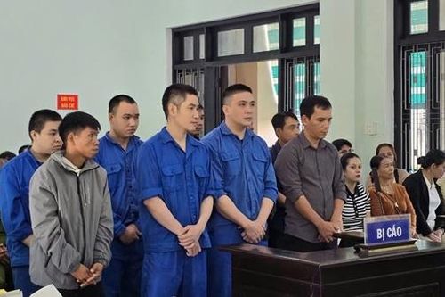 Cán bộ kiểm lâm gắn biển số giả để mua bán, vận chuyển gỗ trái phép