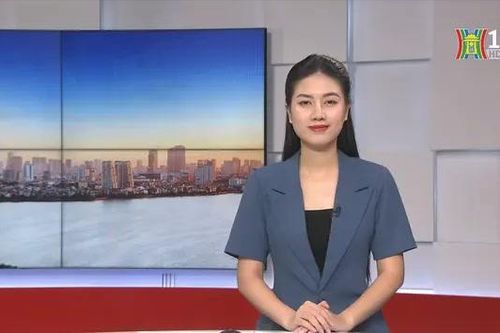 Chương trình Thời sự 11h30 | 22/10/2024