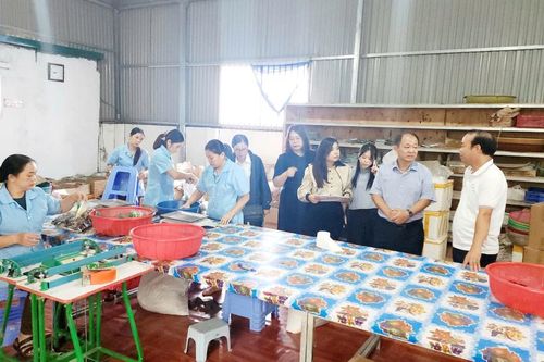 Điều tra, rà soát tình hình hoạt động của hợp tác xã trên địa bàn Thành phố