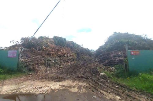 Nơm nớp lo sợ vì sống bên bãi rác khổng lồ ở Đà Nẵng