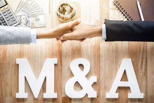 M&A Việt Nam vẫn còn nhiều thách thức