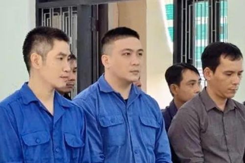Buôn gỗ lậu trong vườn quốc gia, cán bộ kiểm lâm ở Huế lĩnh án