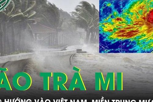 Bão Trà Mi trở thành cơn bão số 6 hướng vào Việt Nam, miền Trung mưa lớn diện rộng