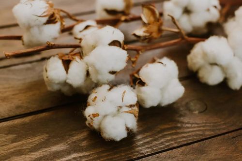 Phát hiện loại nhựa phân hủy trong nước biển nhanh hơn giấy