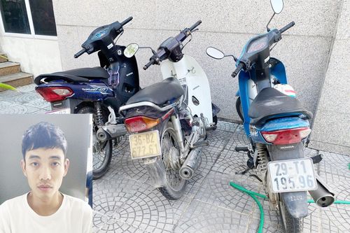 'Gỡ' ổ trộm cắp, tiêu thụ tài sản do người khác phạm tội mà có