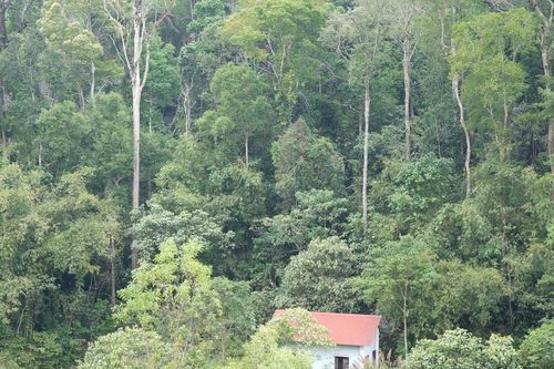 Báu vật cuối dãy Trường Sơn