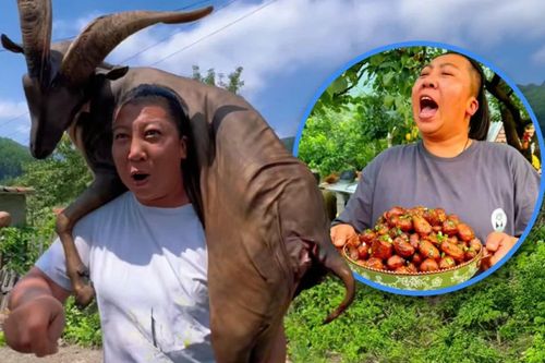 KOL Trung Quốc 22 triệu follow bị tố 'treo đầu dê bán thịt chó'