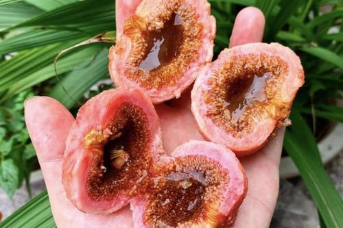 Thói quen tai hại khi ăn khiến người đàn ông đi cấp cứu