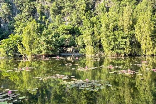 Không gian xanh đô thị giúp giảm thiểu tác động của nhiệt độ cao đến sức khỏe