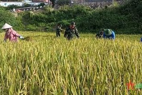 Hiệu quả từ những dự án trên vùng biên giới