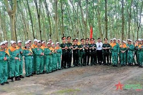 100% tuyển thủ tham gia Hội thi thợ giỏi khai thác mủ cao su Công ty 732 đạt giỏi và xuất sắc