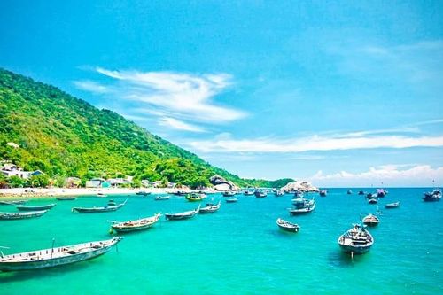 Giáo dục học sinh về bảo tồn đại dương