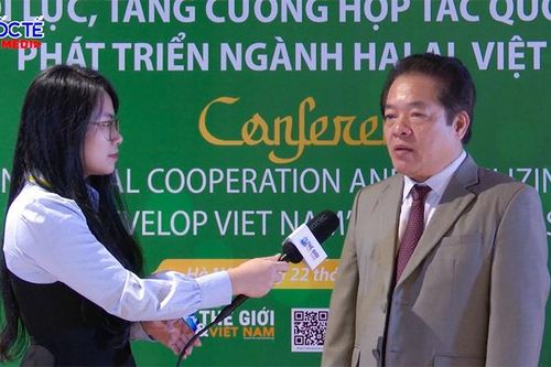 Phó Chủ tịch UBND Võ Phiên: Quảng Ngãi có tiềm năng lớn để phát triển thị trường Halal