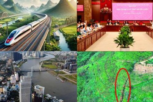 Nóng 18h: Xuất hiện vết nứt chạy dài hàng chục mét trên quả đồi ở Lâm Đồng