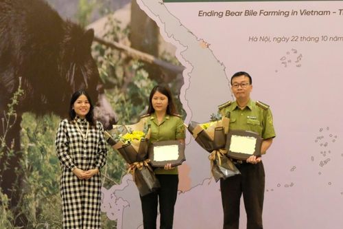 Chấm dứt nuôi nhốt gấu tại Việt Nam - Hành trình sắp cán đích