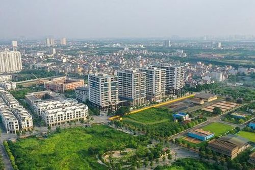 Xem xét cấp sổ đỏ cho doanh nghiệp trúng đấu giá 2 khu 'đất vàng' xây chung cư