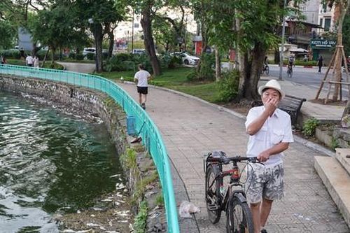 Người dân Thủ đô 'đau đầu nhức óc' vì mùi hôi thối do cá chết trắng tại Hồ Tây