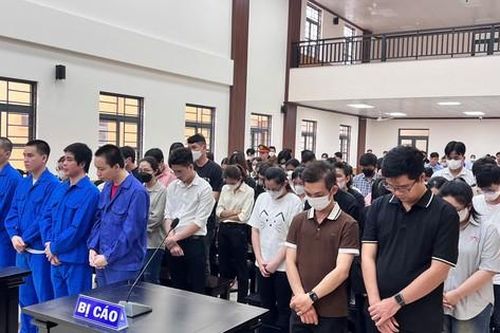 Tuyên án 61 bị cáo làm giả hơn 1.000 văn bằng, chứng chỉ ở An Giang