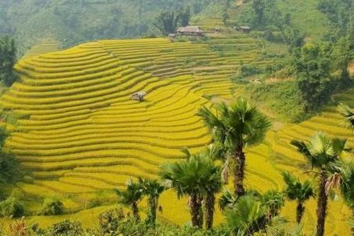 Khám phá mùa thu Bắc Hà